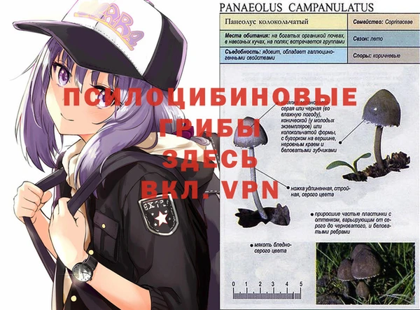 синтетический гашиш Богородск