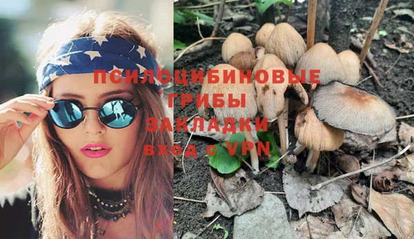 марки nbome Богородицк